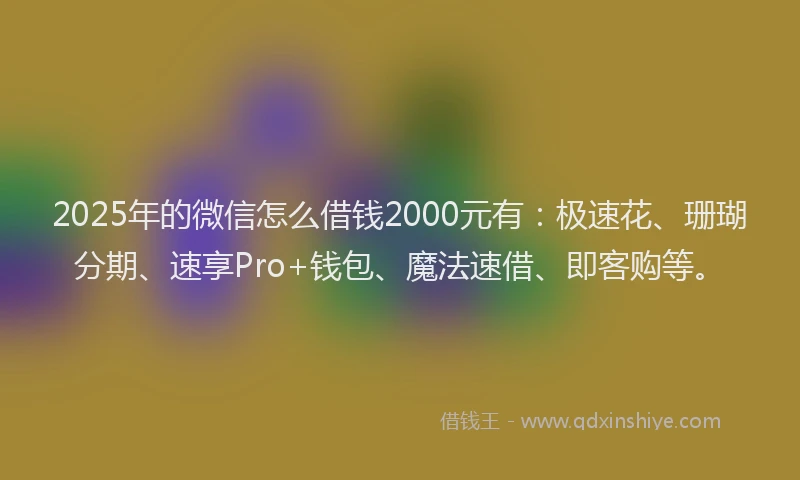 2025年的微信怎么借钱2000元有：极速花、珊瑚分期、速享Pro+钱包、魔法速借、即客购等。
