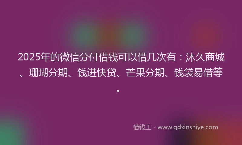 2025年的微信分付借钱可以借几次有：沐久商城、珊瑚分期、钱进快贷、芒果分期、钱袋易借等。