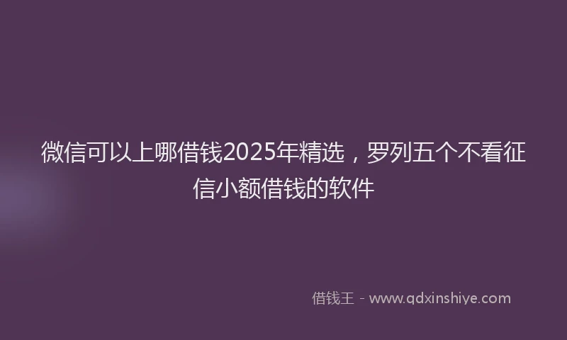 微信可以上哪借钱2025年精选，罗列五个不看征信小额借钱的软件
