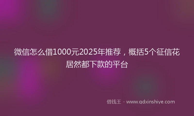 微信怎么借1000元2025年推荐，概括5个征信花居然都下款的平台