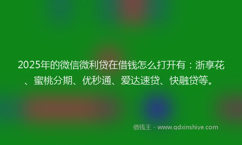 2025年的微信微利贷在借钱怎么打开有：浙享花、蜜桃分期、优秒通、爱达速贷、快融贷等。