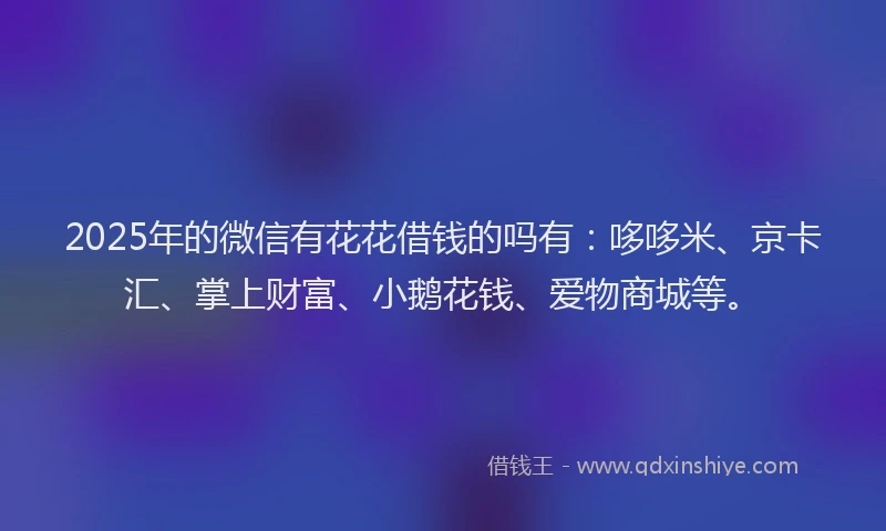 2025年的微信有花花借钱的吗有：哆哆米、京卡汇、掌上财富、小鹅花钱、爱物商城等。