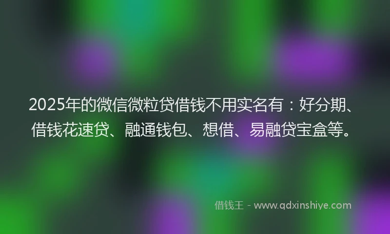 2025年的微信微粒贷借钱不用实名有：好分期、借钱花速贷、融通钱包、想借、易融贷宝盒等。