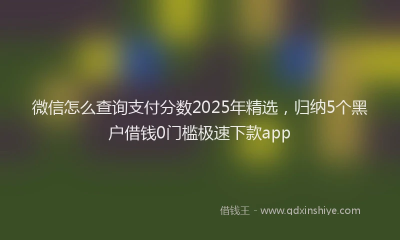 微信怎么查询支付分数2025年精选，归纳5个黑户借钱0门槛极速下款app