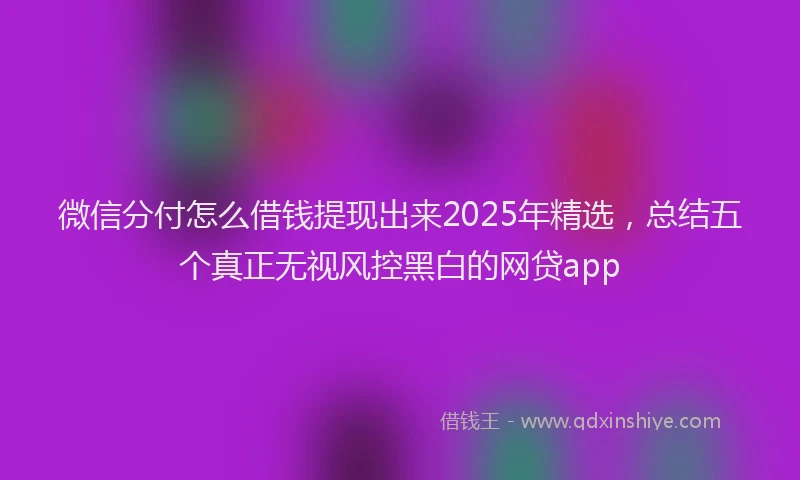 微信分付怎么借钱提现出来2025年精选，总结五个真正无视风控黑白的网贷app
