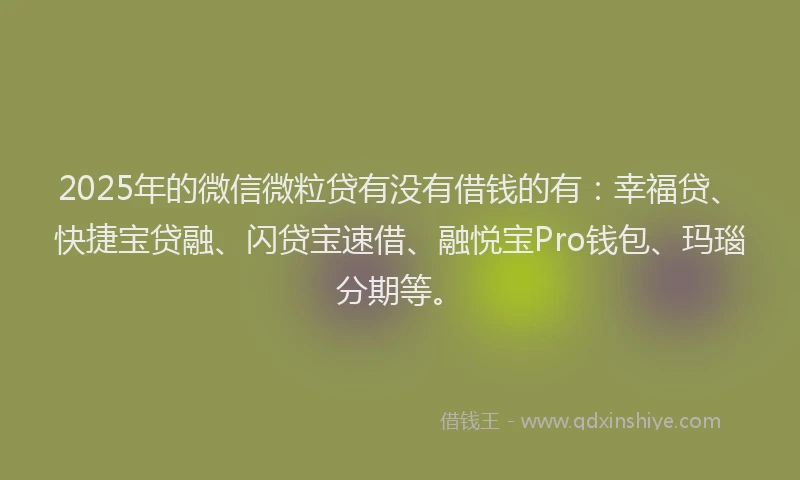 2025年的微信微粒贷有没有借钱的有：幸福贷、快捷宝贷融、闪贷宝速借、融悦宝Pro钱包、玛瑙分期等。