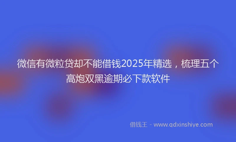 微信有微粒贷却不能借钱2025年精选，梳理五个高炮双黑逾期必下款软件