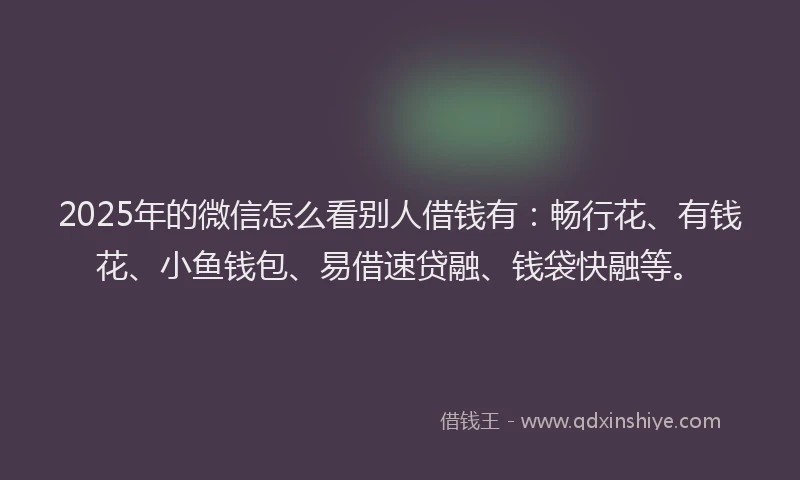2025年的微信怎么看别人借钱有：畅行花、有钱花、小鱼钱包、易借速贷融、钱袋快融等。