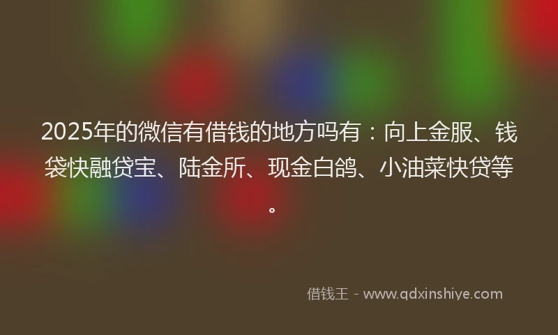 2025年的微信有借钱的地方吗有：向上金服、钱袋快融贷宝、陆金所、现金白鸽、小油菜快贷等。