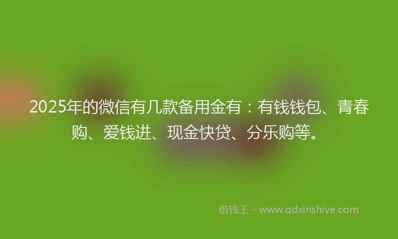 2025年的微信有几款备用金有：有钱钱包、青春购、爱钱进、现金快贷、分乐购等。