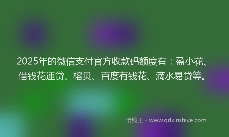 2025年的微信支付官方收款码额度有：盈小花、借钱花速贷、榕贝、百度有钱花、滴水易贷等。