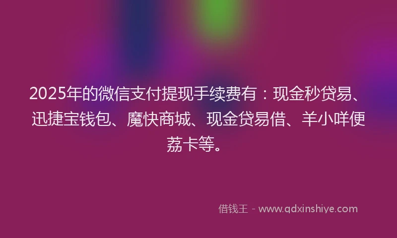 2025年的微信支付提现手续费有：现金秒贷易、迅捷宝钱包、魔快商城、现金贷易借、羊小咩便荔卡等。