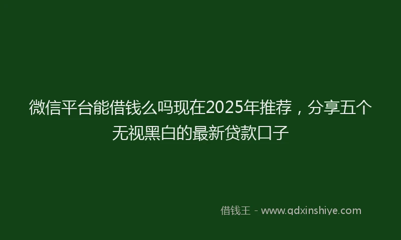 微信平台能借钱么吗现在2025年推荐，分享五个无视黑白的最新贷款口子