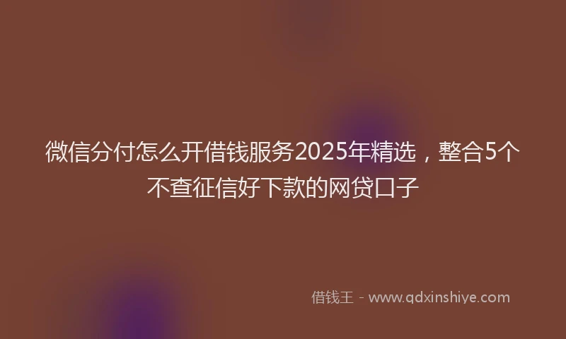 微信分付怎么开借钱服务2025年精选，整合5个不查征信好下款的网贷口子