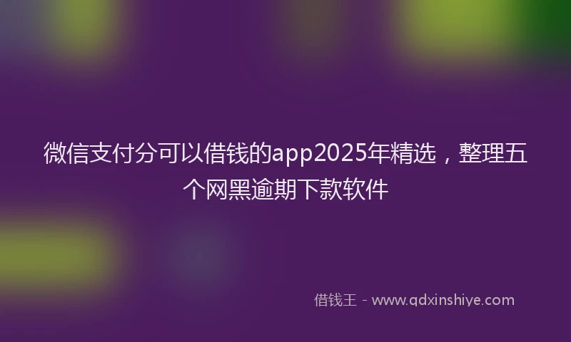 微信支付分可以借钱的app2025年精选，整理五个网黑逾期下款软件