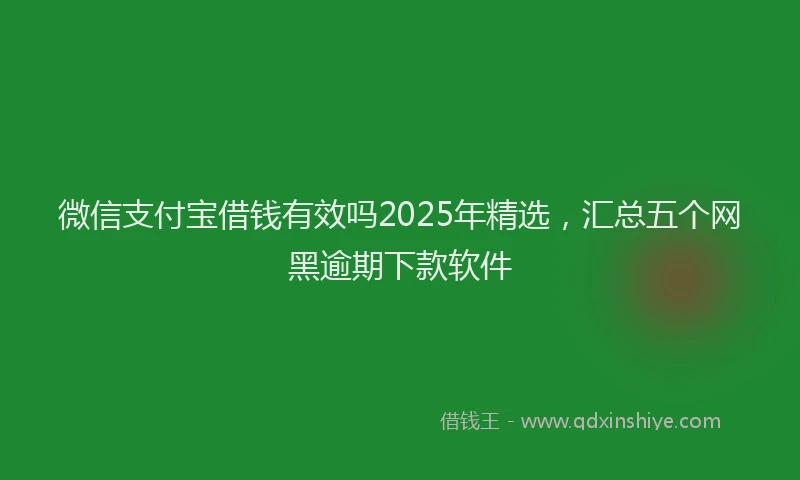 微信支付宝借钱有效吗2025年精选，汇总五个网黑逾期下款软件