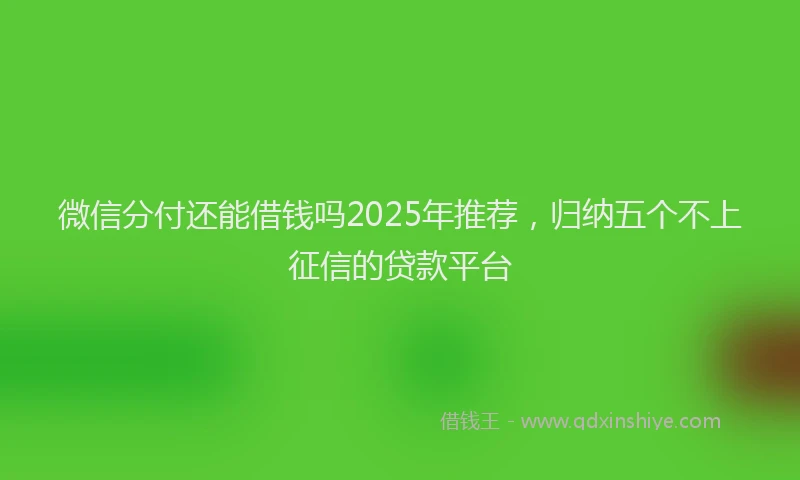 微信分付还能借钱吗2025年推荐，归纳五个不上征信的贷款平台