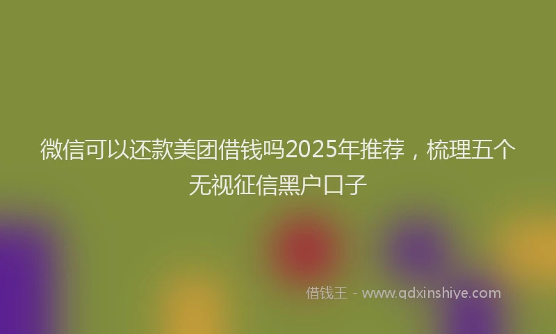 微信可以还款美团借钱吗2025年推荐，梳理五个无视征信黑户口子