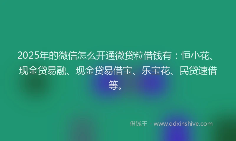 2025年的微信怎么开通微贷粒借钱有：恒小花、现金贷易融、现金贷易借宝、乐宝花、民贷速借等。