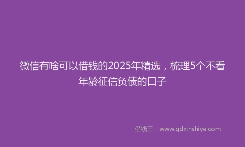 微信有啥可以借钱的2025年精选，梳理5个不看年龄征信负债的口子