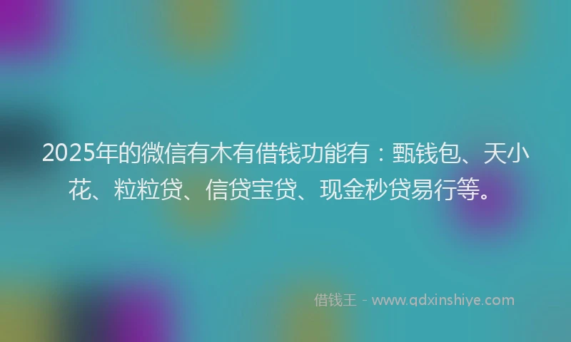 2025年的微信有木有借钱功能有：甄钱包、天小花、粒粒贷、信贷宝贷、现金秒贷易行等。