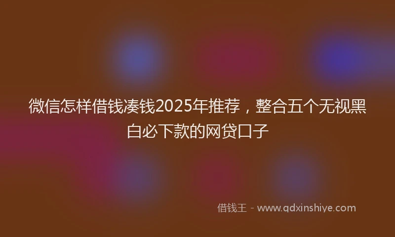 微信怎样借钱凑钱2025年推荐，整合五个无视黑白必下款的网贷口子