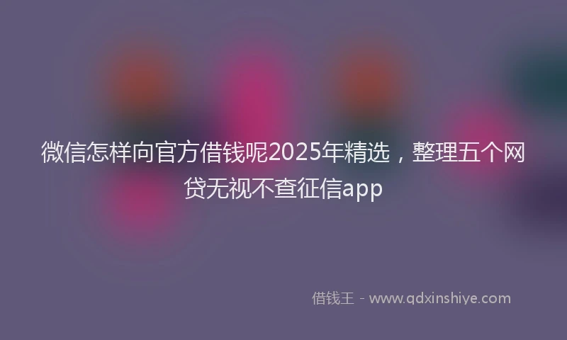微信怎样向官方借钱呢2025年精选，整理五个网贷无视不查征信app