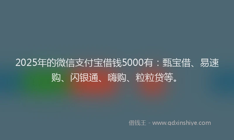 2025年的微信支付宝借钱5000有：甄宝借、易速购、闪银通、嗨购、粒粒贷等。
