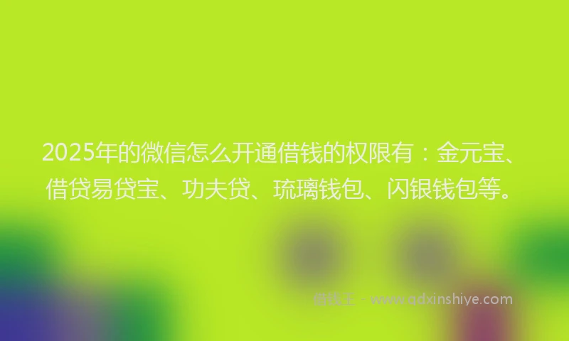 2025年的微信怎么开通借钱的权限有：金元宝、借贷易贷宝、功夫贷、琉璃钱包、闪银钱包等。