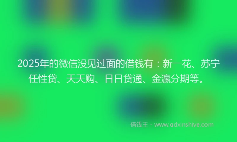 2025年的微信没见过面的借钱有：新一花、苏宁任性贷、天天购、日日贷通、金瀛分期等。