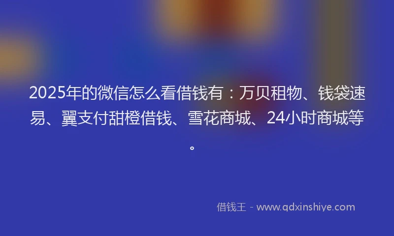 2025年的微信怎么看借钱有：万贝租物、钱袋速易、翼支付甜橙借钱、雪花商城、24小时商城等。