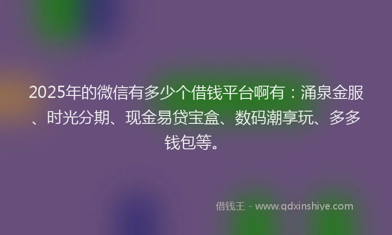 2025年的微信有多少个借钱平台啊有：涌泉金服、时光分期、现金易贷宝盒、数码潮享玩、多多钱包等。
