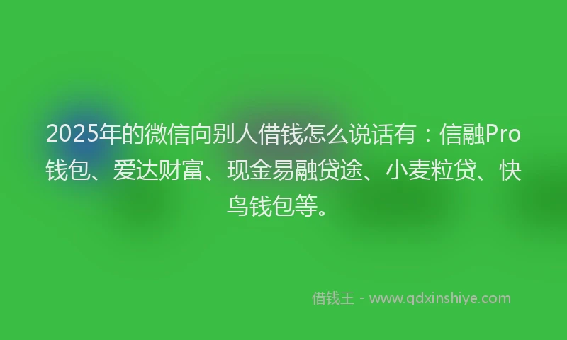 2025年的微信向别人借钱怎么说话有：信融Pro钱包、爱达财富、现金易融贷途、小麦粒贷、快鸟钱包等。