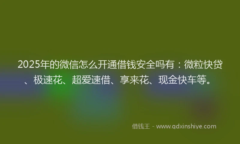 2025年的微信怎么开通借钱安全吗有：微粒快贷、极速花、超爱速借、享来花、现金快车等。