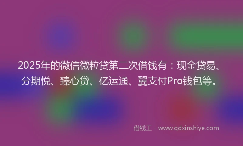 2025年的微信微粒贷第二次借钱有：现金贷易、分期悦、臻心贷、亿运通、翼支付Pro钱包等。