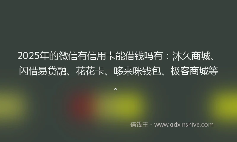 2025年的微信有信用卡能借钱吗有：沐久商城、闪借易贷融、花花卡、哆来咪钱包、极客商城等。