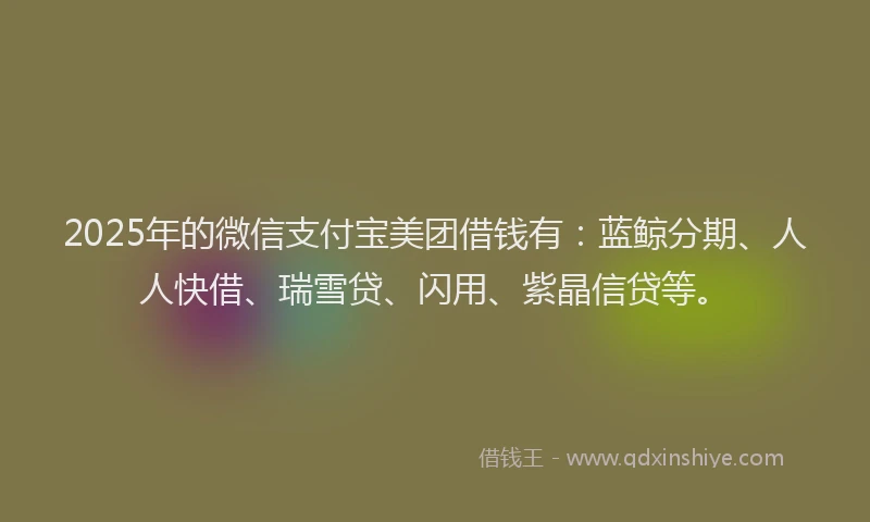 2025年的微信支付宝美团借钱有：蓝鲸分期、人人快借、瑞雪贷、闪用、紫晶信贷等。
