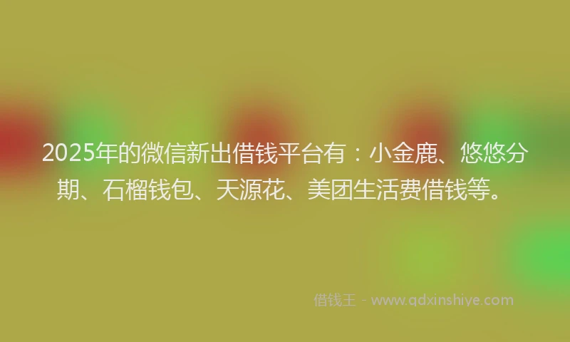 2025年的微信新出借钱平台有：小金鹿、悠悠分期、石榴钱包、天源花、美团生活费借钱等。