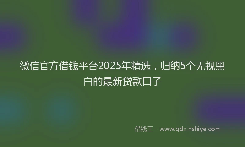 微信官方借钱平台2025年精选，归纳5个无视黑白的最新贷款口子