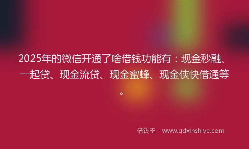 2025年的微信开通了啥借钱功能有：现金秒融、一起贷、现金流贷、现金蜜蜂、现金侠快借通等。