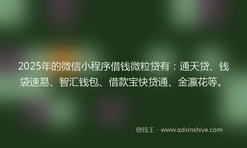 2025年的微信小程序借钱微粒贷有：通天贷、钱袋速易、智汇钱包、借款宝快贷通、金瀛花等。