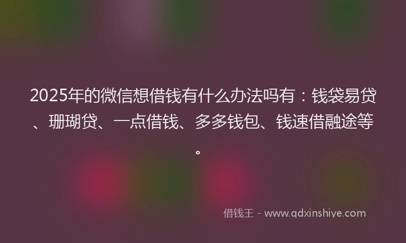 2025年的微信想借钱有什么办法吗有：钱袋易贷、珊瑚贷、一点借钱、多多钱包、钱速借融途等。