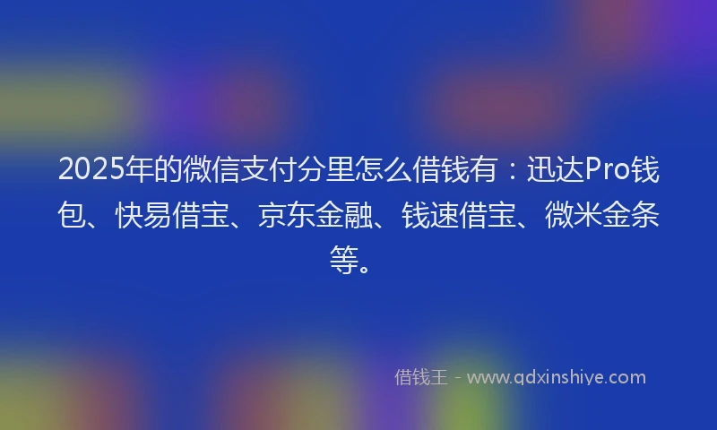 2025年的微信支付分里怎么借钱有：迅达Pro钱包、快易借宝、京东金融、钱速借宝、微米金条等。