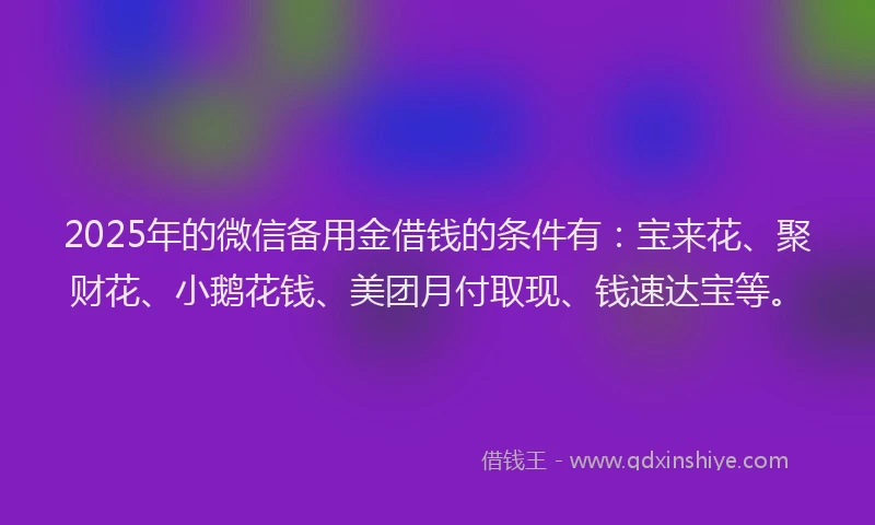 2025年的微信备用金借钱的条件有：宝来花、聚财花、小鹅花钱、美团月付取现、钱速达宝等。