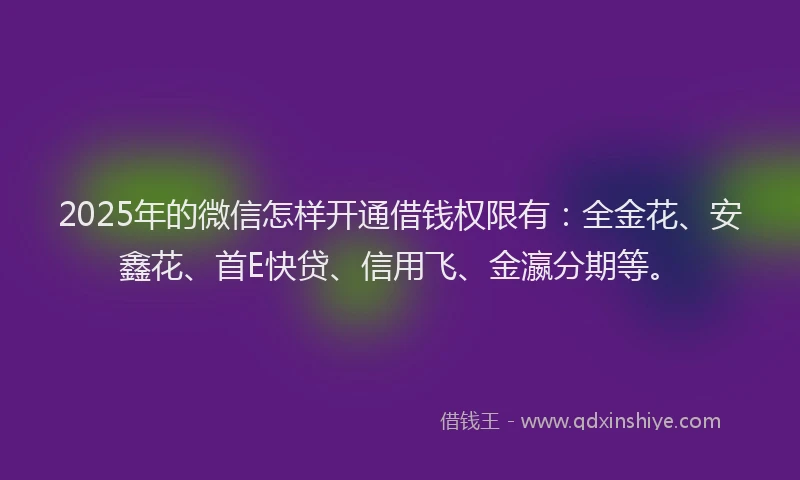 2025年的微信怎样开通借钱权限有：全金花、安鑫花、首E快贷、信用飞、金瀛分期等。