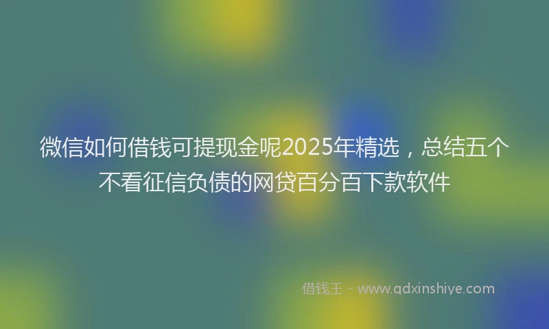 微信如何借钱可提现金呢2025年精选，总结五个不看征信负债的网贷百分百下款软件