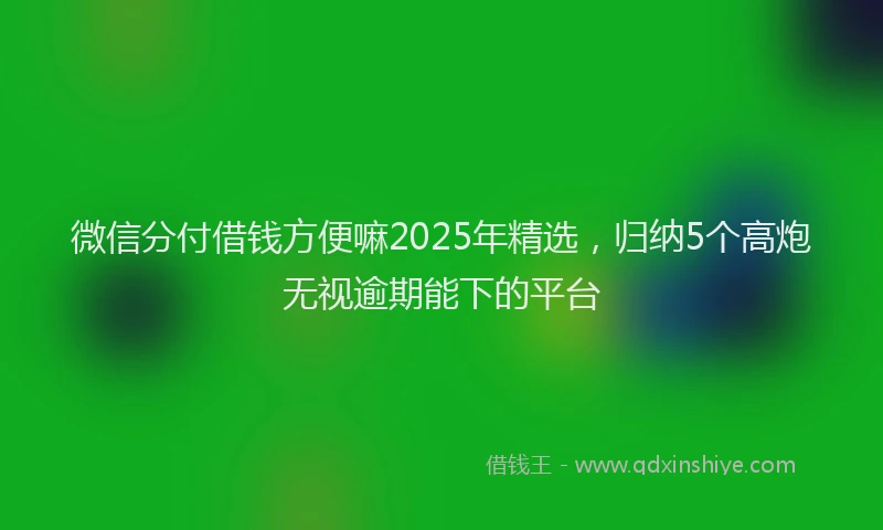微信分付借钱方便嘛2025年精选，归纳5个高炮无视逾期能下的平台