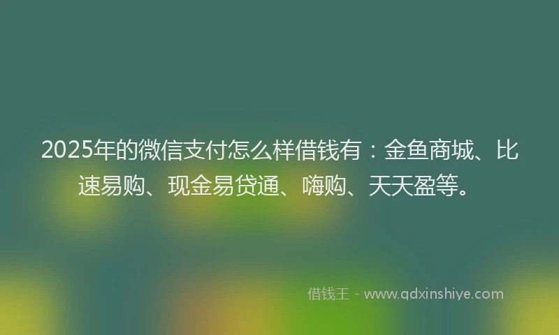 2025年的微信支付怎么样借钱有：金鱼商城、比速易购、现金易贷通、嗨购、天天盈等。