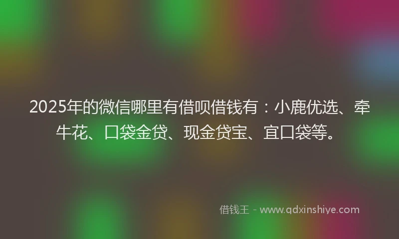 2025年的微信哪里有借呗借钱有：小鹿优选、牵牛花、口袋金贷、现金贷宝、宜口袋等。