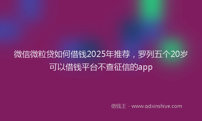 微信微粒贷如何借钱2025年推荐，罗列五个20岁可以借钱平台不查征信的app